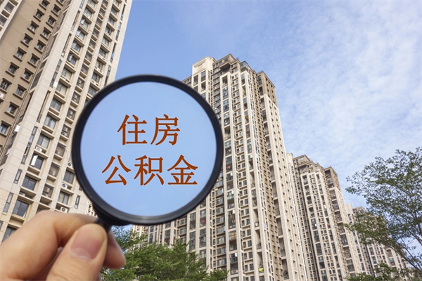寿光离职后公司不给转公积金怎么办（离职后公司不给转社保怎么办）